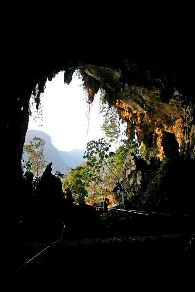 Cave owls tingo