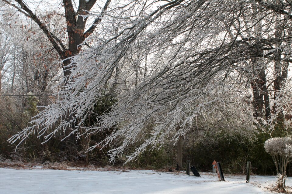 Snow nature landscape