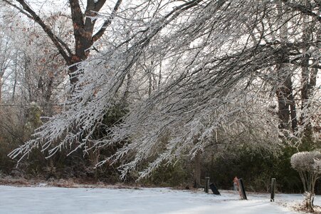 Snow nature landscape photo