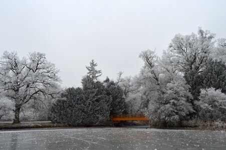 Bridge frost ice