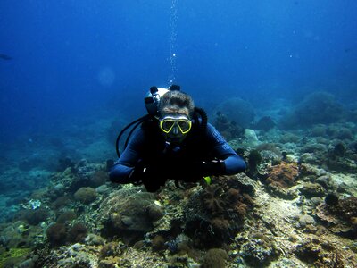 Diver scuba diving