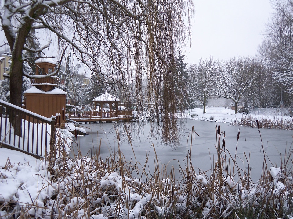 White season nature