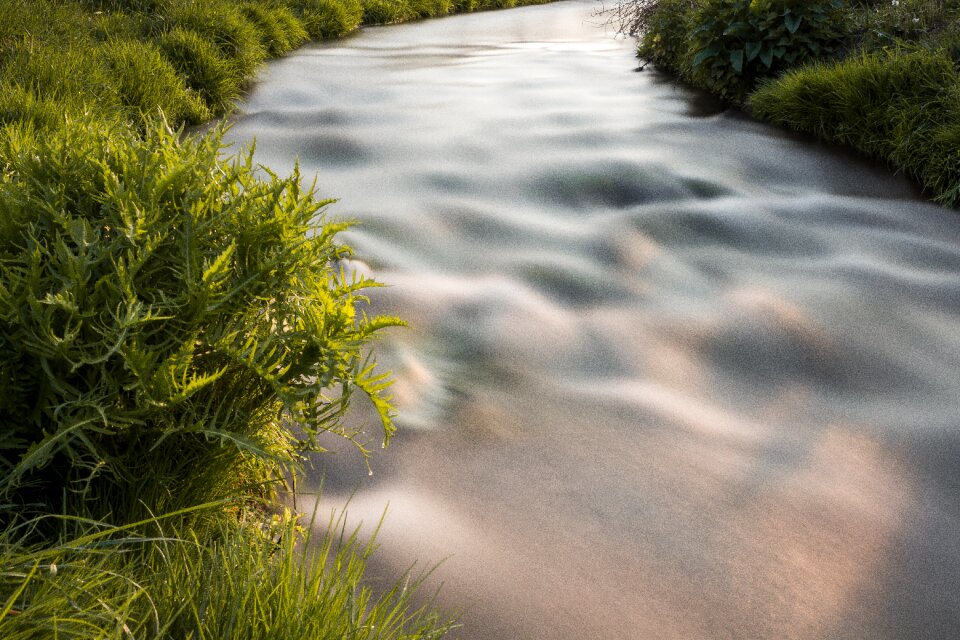Nature water feature bach