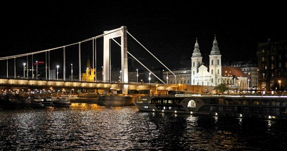 Danube bank of the danube plague photo