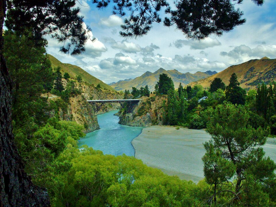 Landscape trees mountains