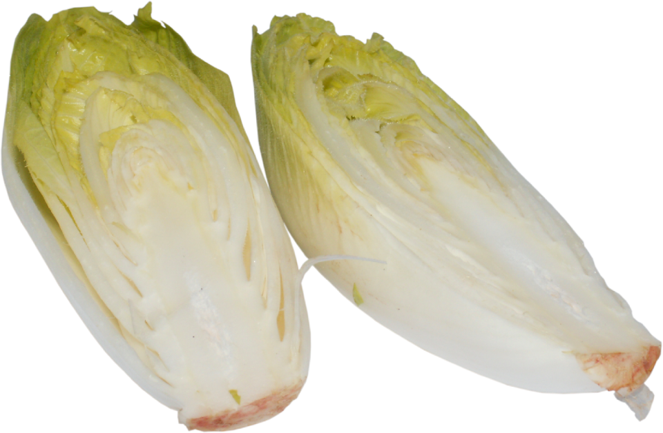 Plant cabbage vitamins