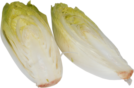 Plant cabbage vitamins