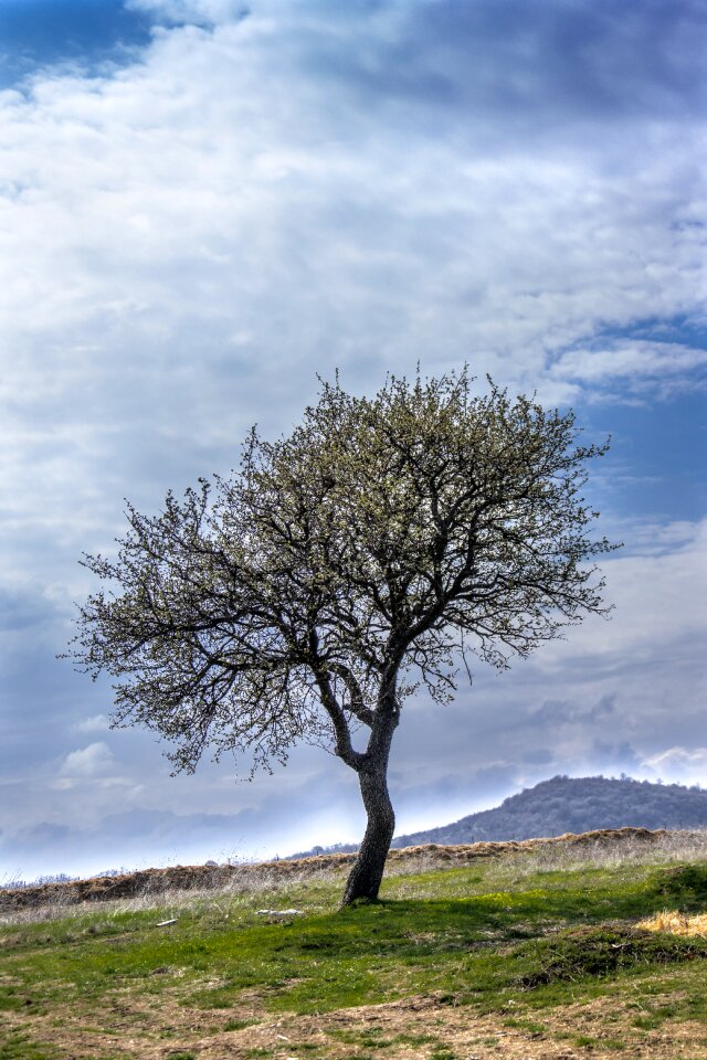 Outdoor landscape natural