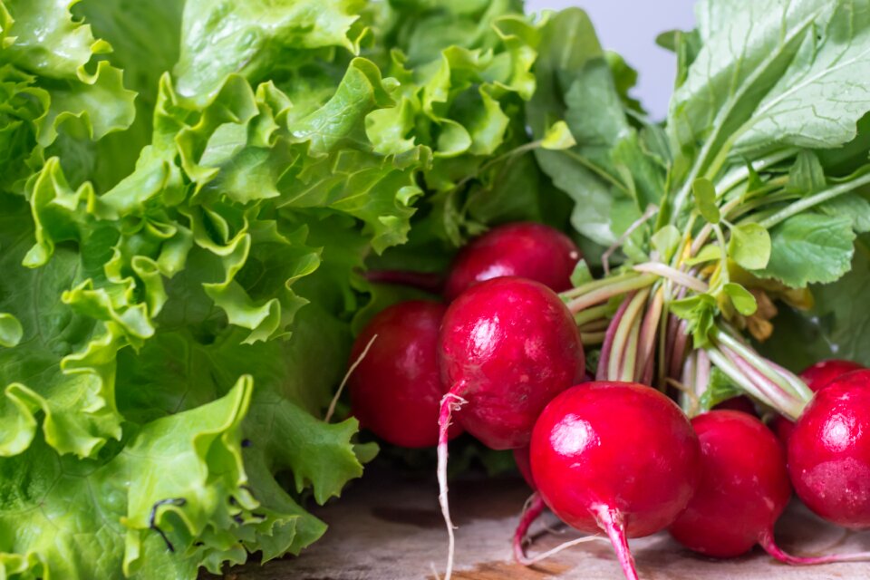 Food fresh organic