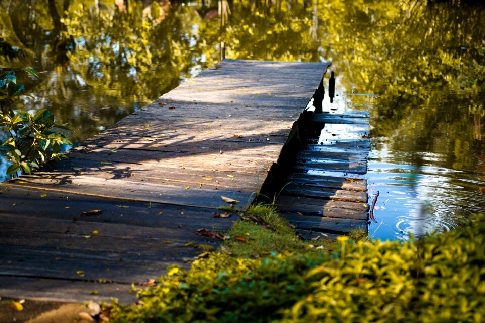 Lake reflection autumn