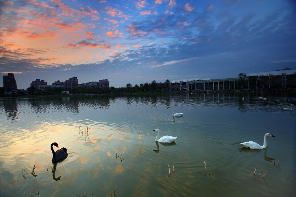 Garden expo lake wuhan