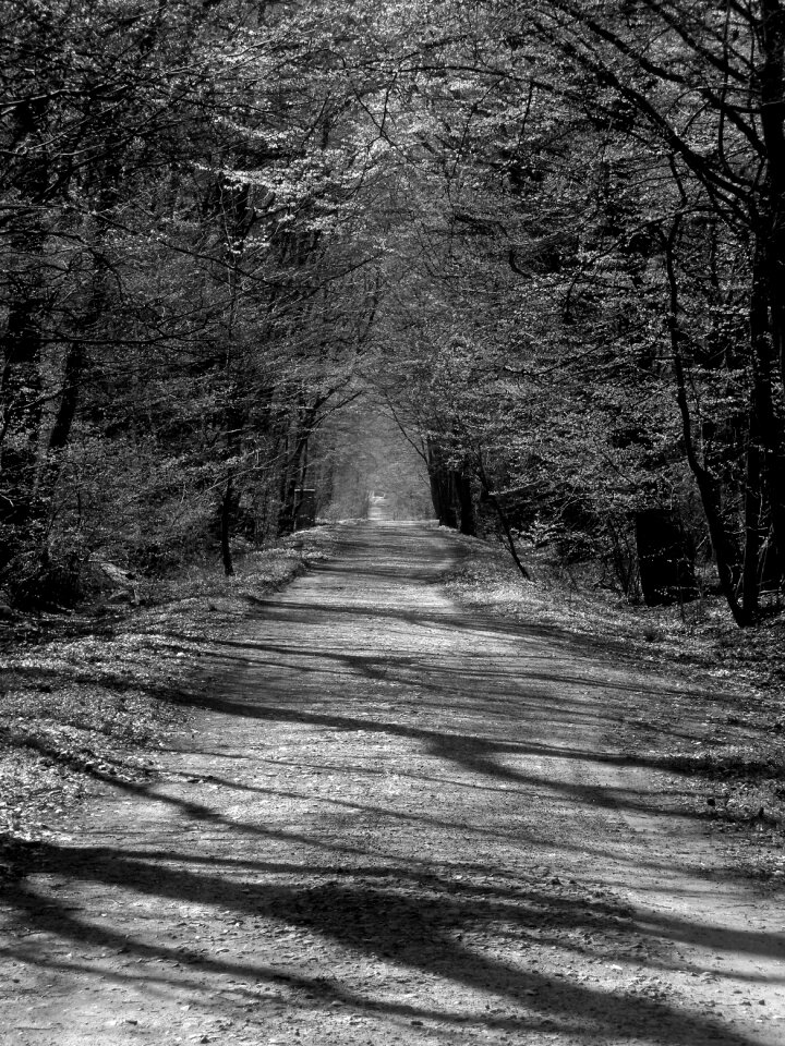 Away glinde mecklenburg