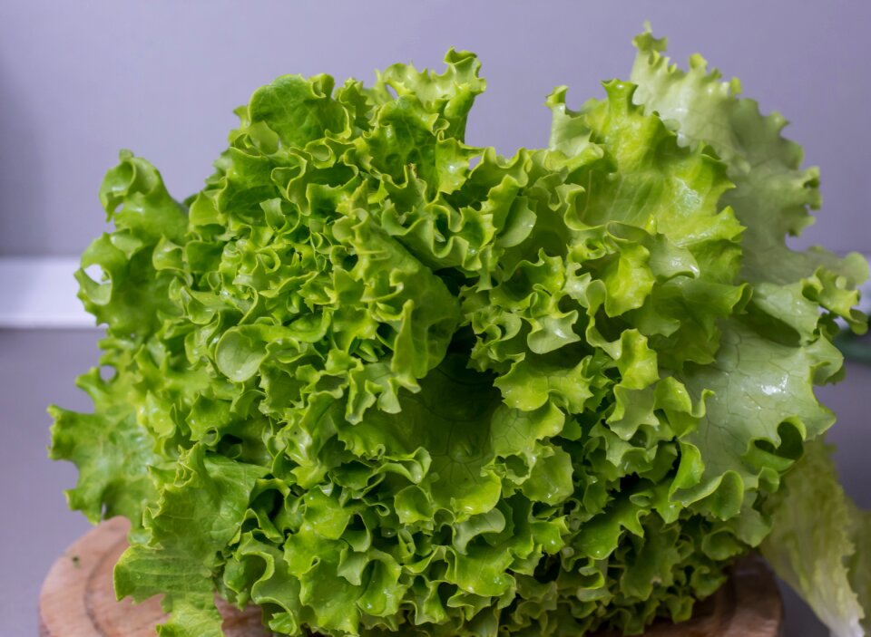 Fresh organic green