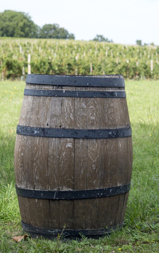 France wine cultivation