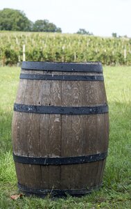 France wine cultivation