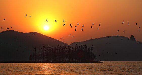 Wuhan twilight big wild goose pagoda photo