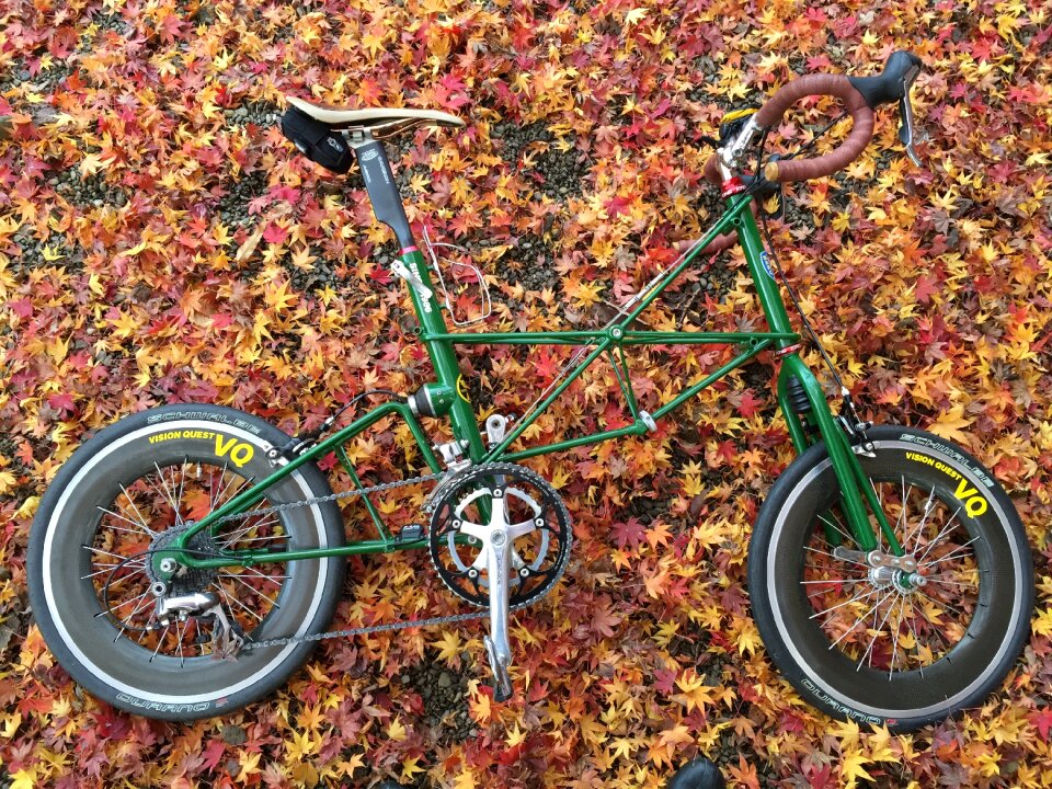 Bike small car fallen leaves