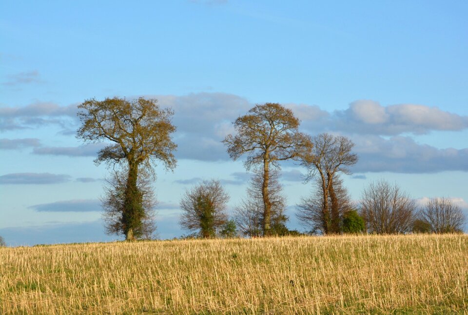 Nature sky blue
