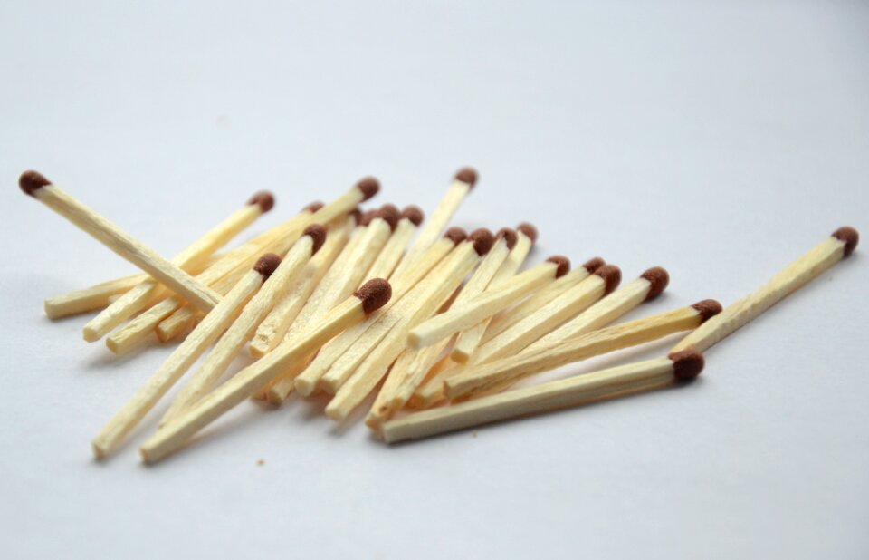 Subject survey sticks wood