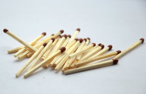 Subject survey sticks wood