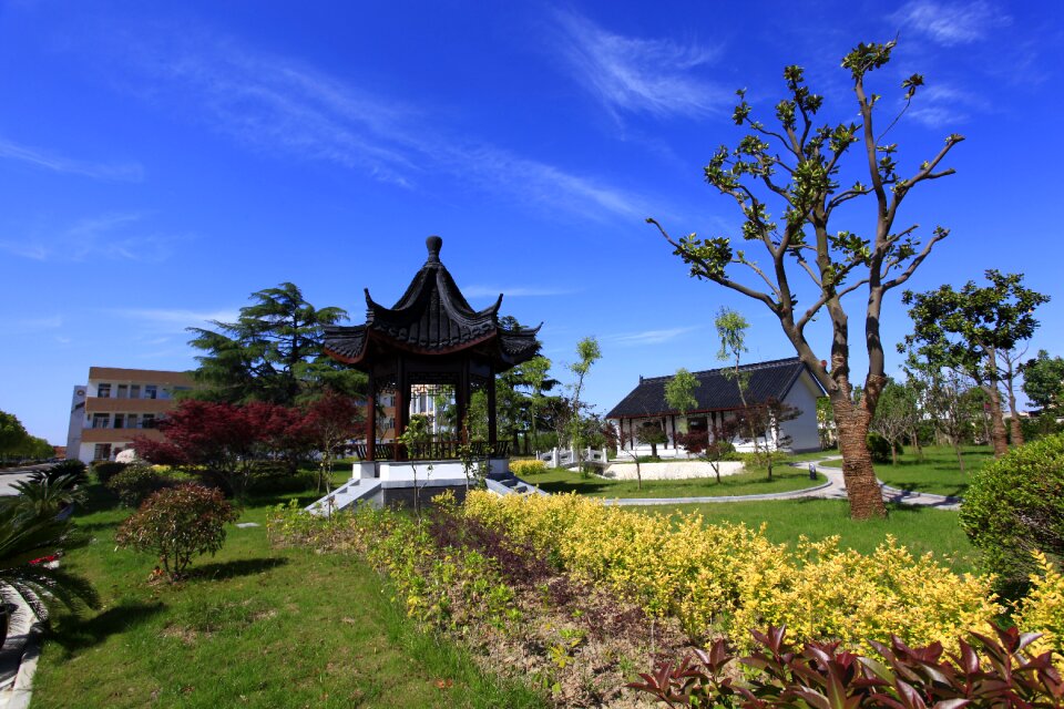 Garden lawn campus