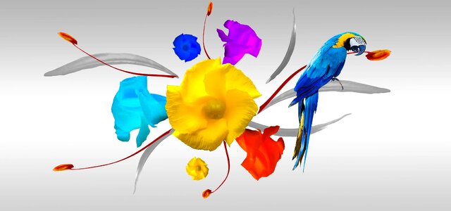 Prints tissues design