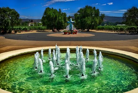 Landscape garden vineyard photo