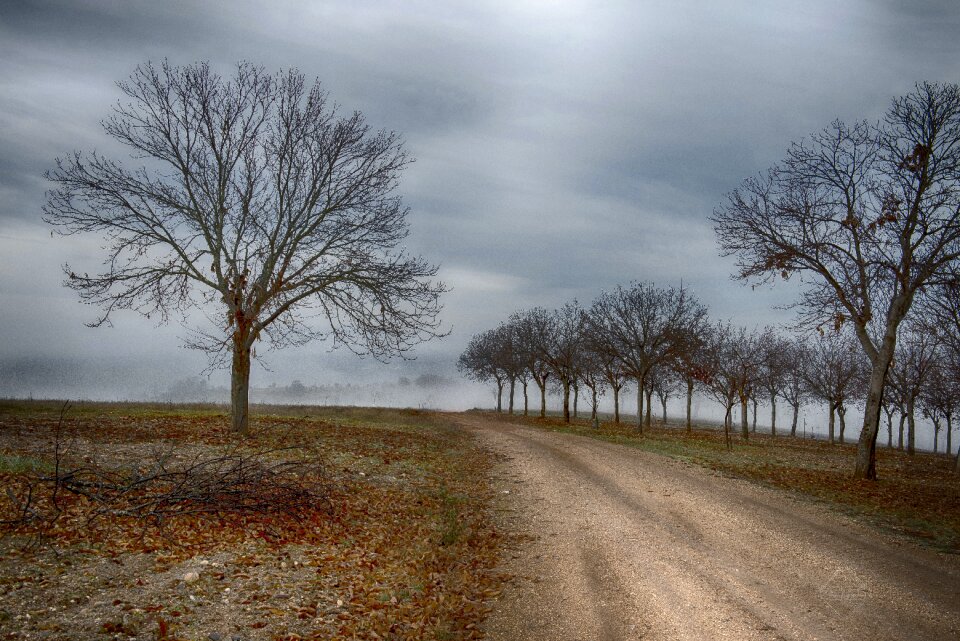 Landscape bragança montesinho
