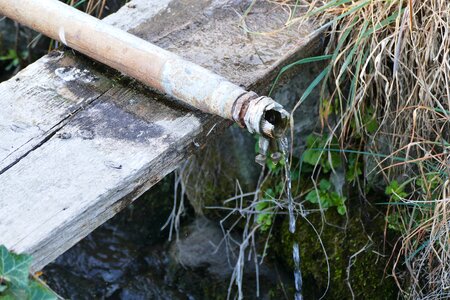 Little inlet small brook