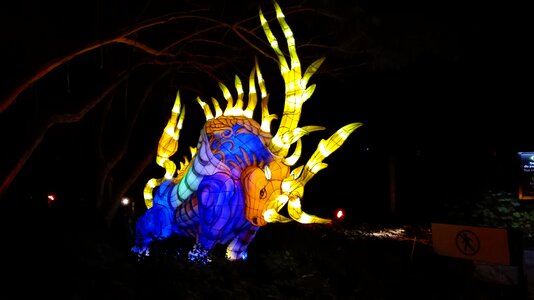 Exhibition garden lights