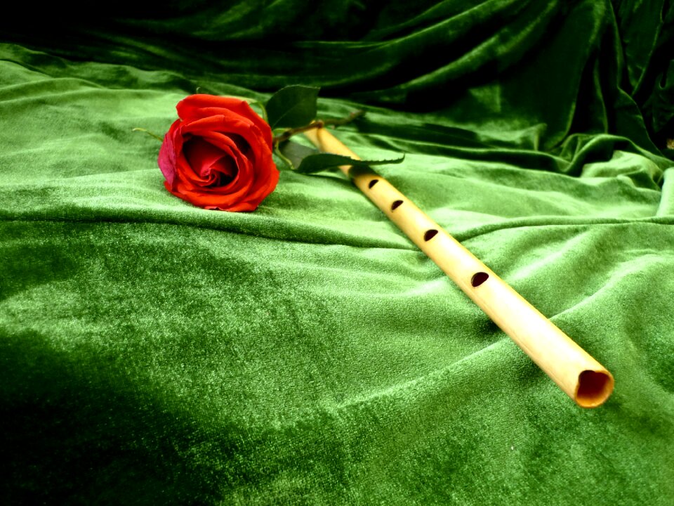 Music musical instrument wind instruments
