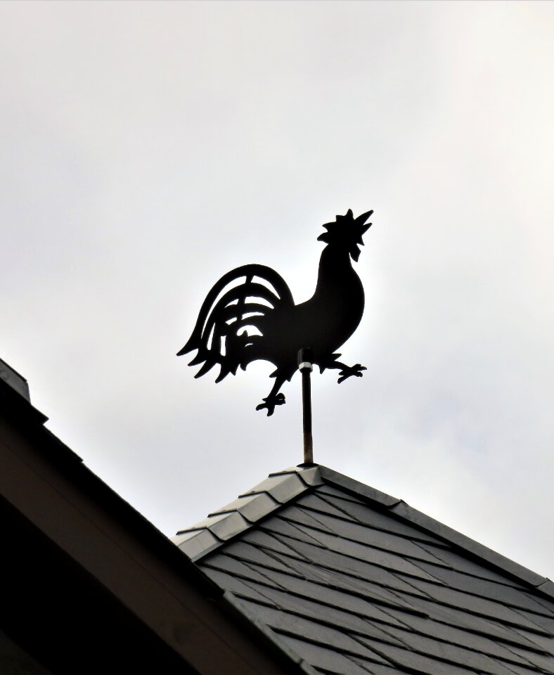 Black housetop wind display