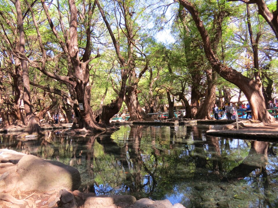 Mexico tourism michoacán