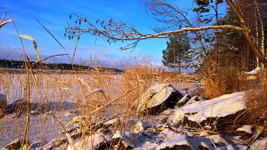 Finnish landscape beach cottage