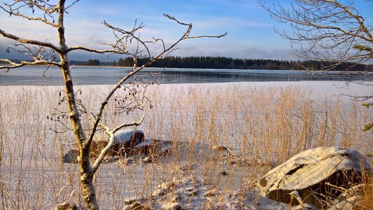 Finnish cold landscape
