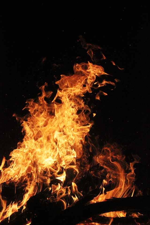 The bonfire night wood