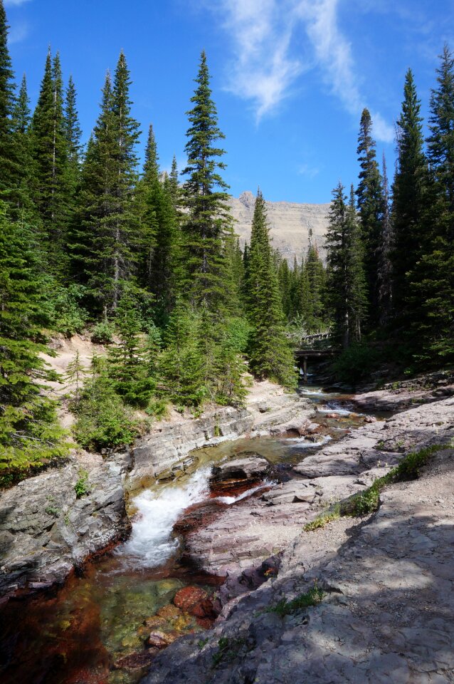 Glacier national park photo