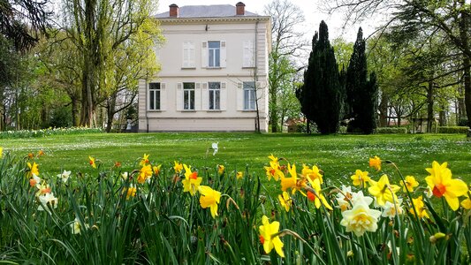 Bist flowers house