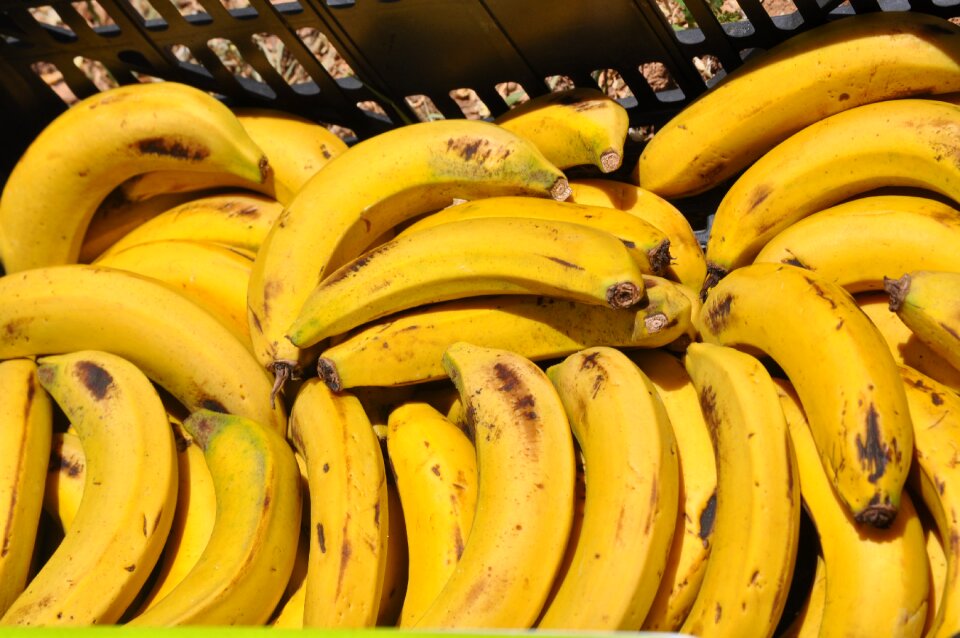 Power tropics fruit