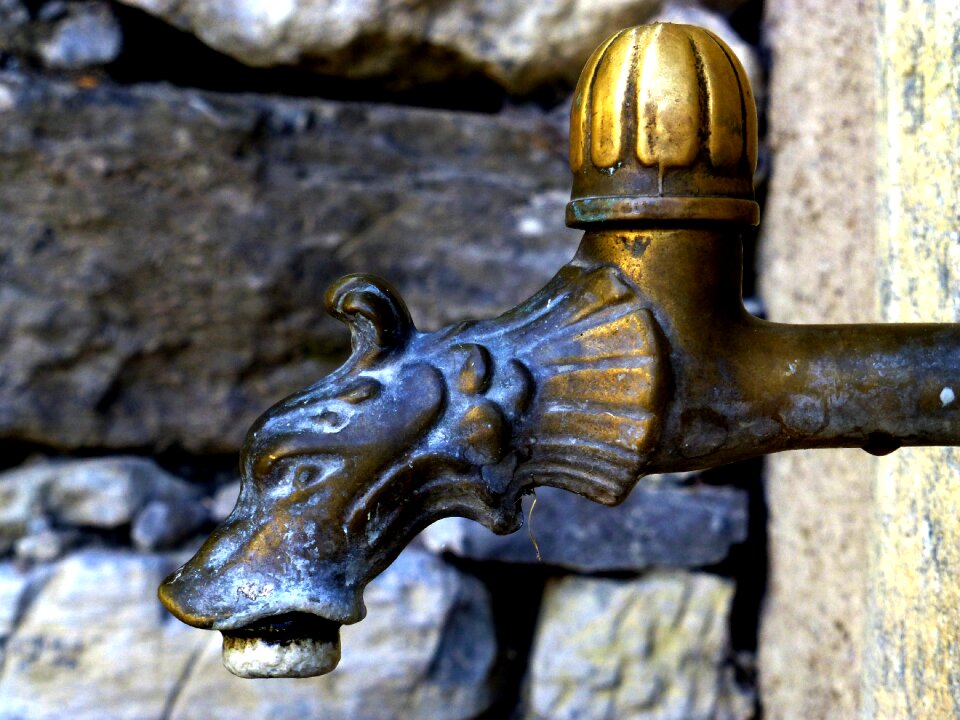 Gargoyle fountain italy