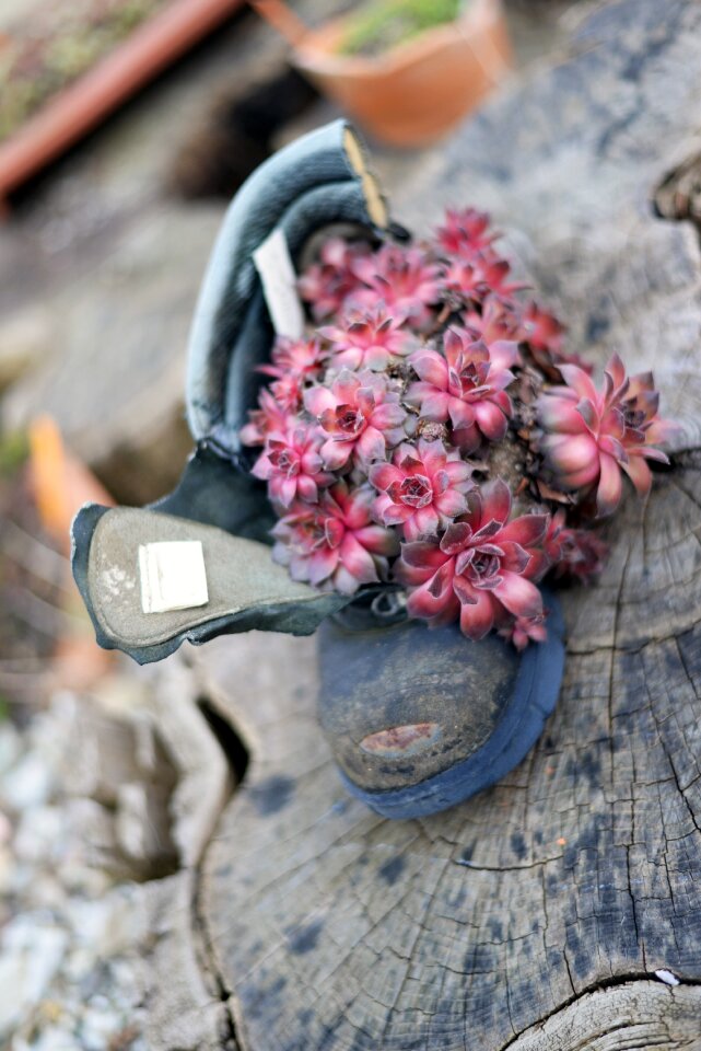 Old plant recycling