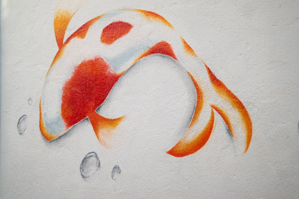 Fish mural carp swarm