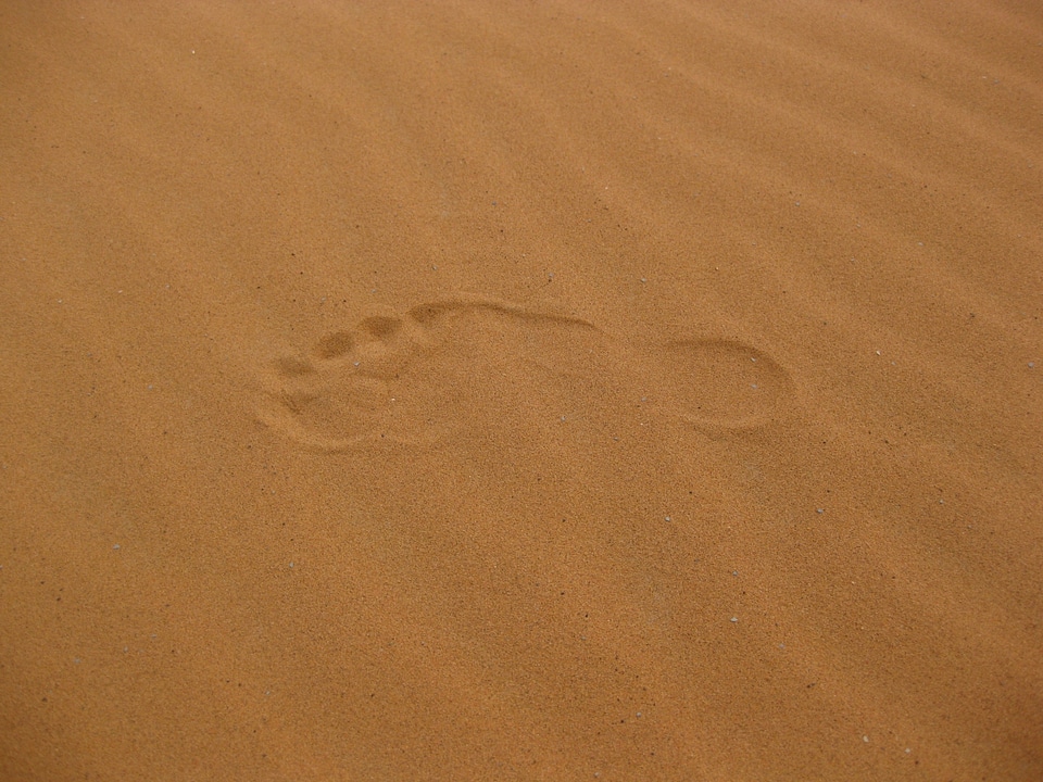 Sand desert reprint