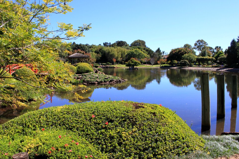 Park tranquil scenery