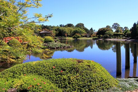 Park tranquil scenery
