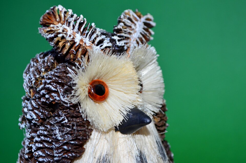 Odd job their hands beak