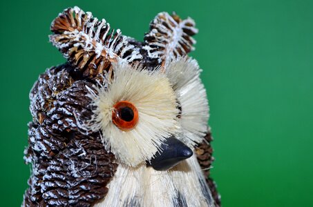 Odd job their hands beak