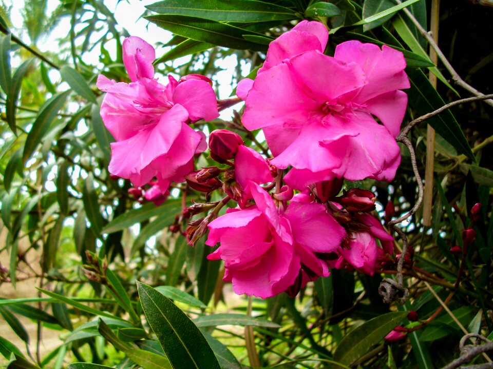 Time natural happy