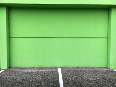 Plaster walls green