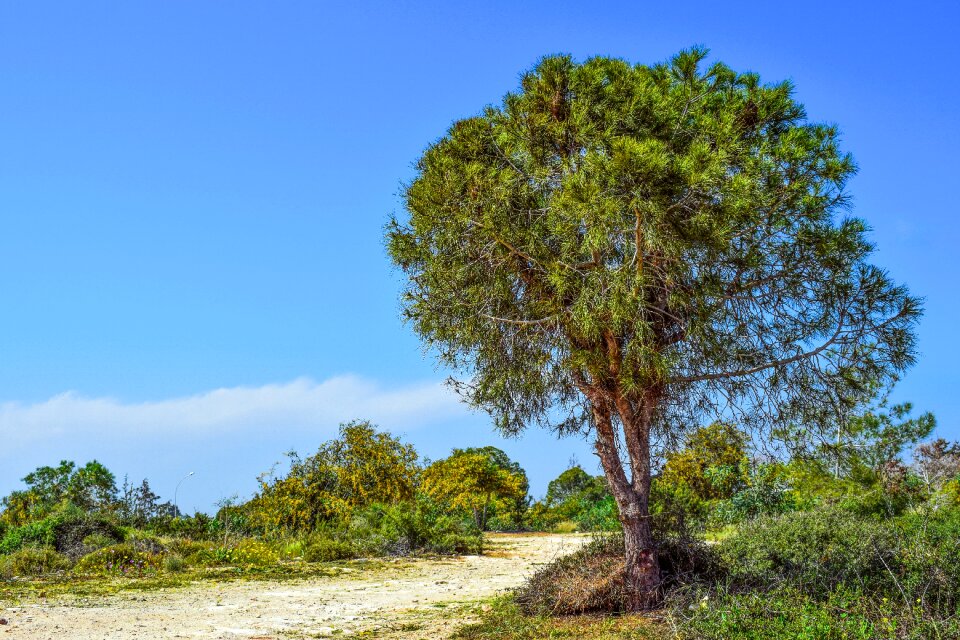 Landscape scenery makronissos